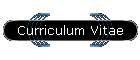 Curriculum Vitae