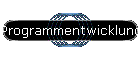 Programmentwicklung