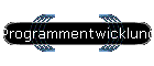 Programmentwicklung