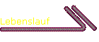 Lebenslauf