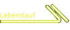 Lebenslauf