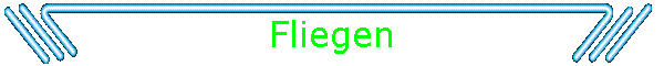 Fliegen