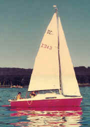 dc20.jpg (46723 Byte)