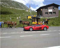 gotthard testa.jpg (30898 Byte)