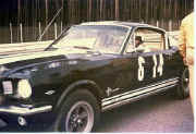 mustang rennen.jpg (60027 Byte)