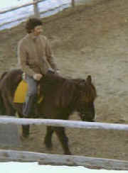 reiten.jpg (20896 Byte)