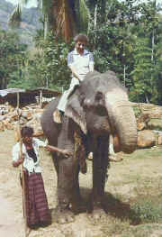 sri lanka.jpg (75537 Byte)