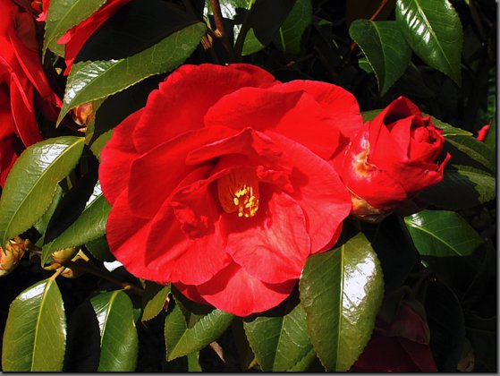 pict017.jpg