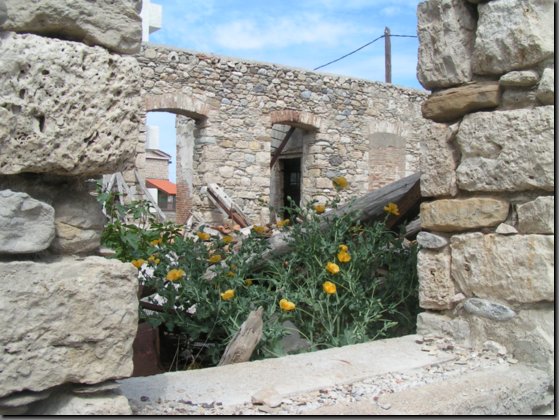 pict1295.jpg