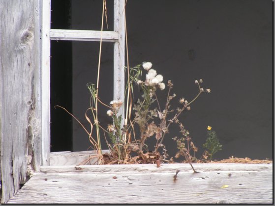 pict1307.jpg