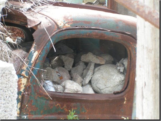 pict1339.jpg