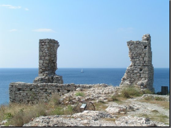 pict0959.jpg