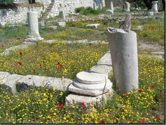 pict0972.jpg