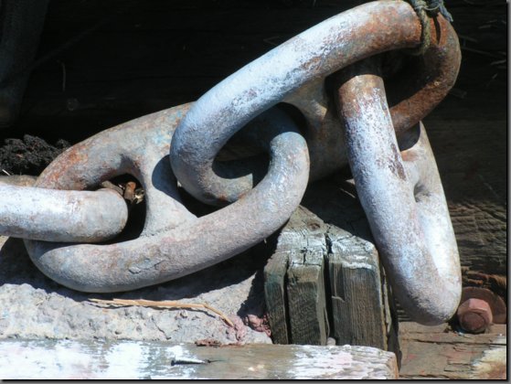 pict1132.jpg