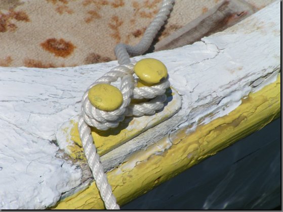 pict1134.jpg
