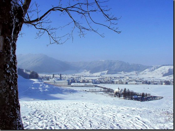 einsie08.jpg
