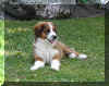 kopie_283a.JPG (57274 Byte)