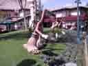 Gardening
