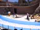 Clyde and Seamore Show