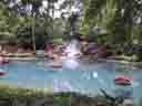 Garden Side of SeaWorld