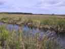 Big Cypress National Preserve