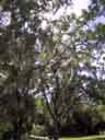 Big Cypress National Preserve