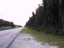 East Border of the Everglades, #997 to South