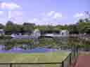 Airboats are Waiting