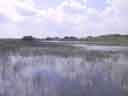 Water, Water and more Water