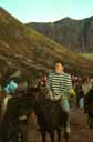 bromo horse riding