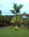 Putri Bali Garden