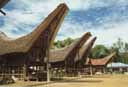 Toraja houses