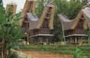 Toraja houses