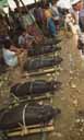 Tana Toraja market
