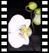 Bild16