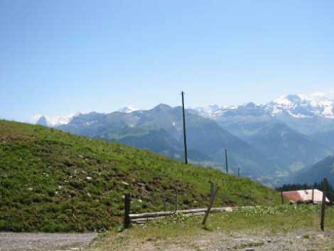 122-2246_IMG.JPG (28807 Byte)
