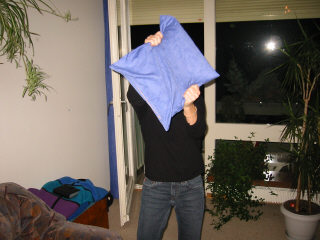 132-3239_IMG.JPG (21009 Byte)
