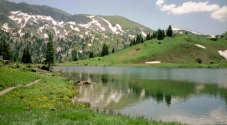 025_25.JPG (14079 Byte)
