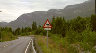 21.JPG (10395 Byte)