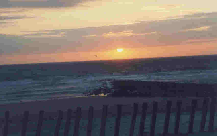deutsch_sonne.jpg (15725 Byte)