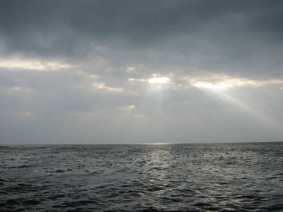 127-2750_IMG.JPG (14925 Byte)