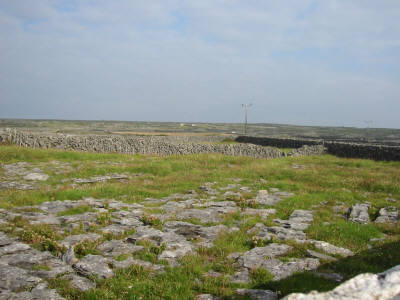 127-2781_IMG.JPG (23203 Byte)