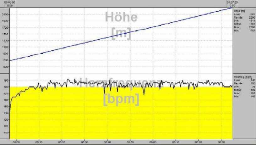 puls_niesens.jpg (43910 Byte)
