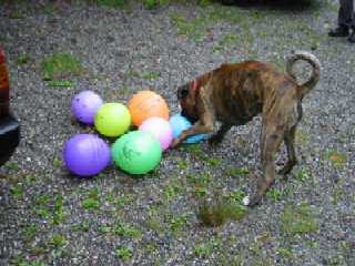 125-2541_IMG.JPG (14613 Byte)