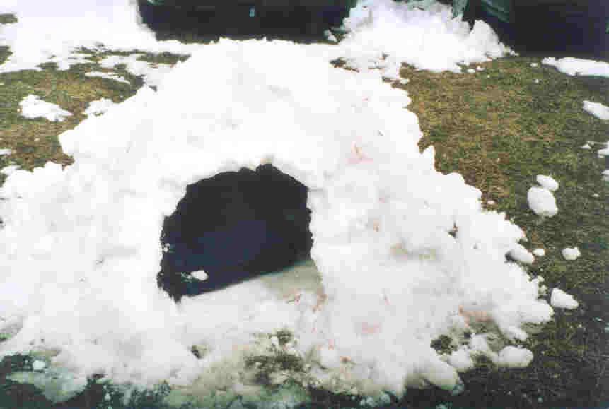 saas_iglu.jpg (23797 Byte)