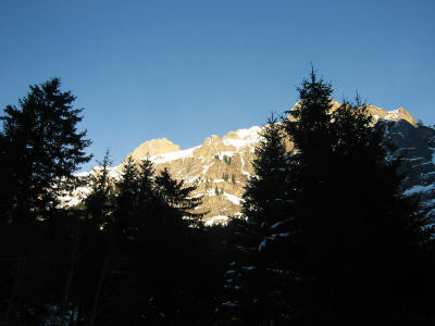137-3798_IMG.JPG (19541 Byte)