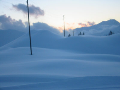 111-1137_IMG.JPG (13598 Byte)