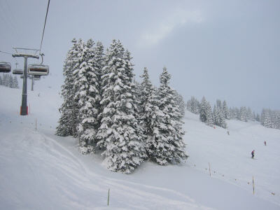 133-3370_IMG.JPG (20462 Byte)