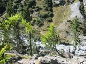 129-2971_IMG.JPG (39292 Byte)