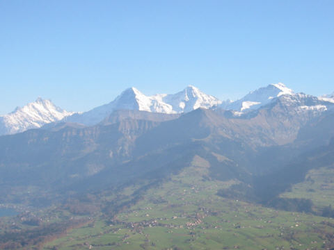 131-3109_IMG.JPG (21847 Byte)